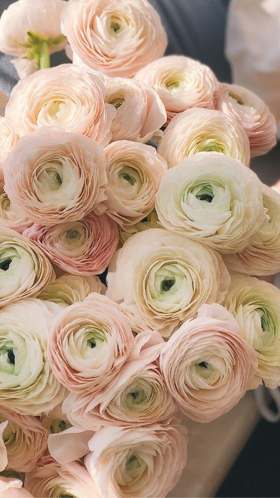Enchanted Eve Botanical Rhapsody